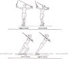 Functional Suspension Trainer FST - Kit completo per allenamento in sospensione