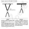 Toorx FST-PRO Functional Suspension Trainer per uso Professionale - Cinghie per allenamenti in sospensione