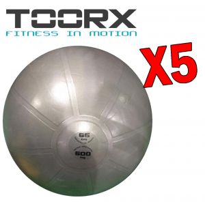 Kit Risparmio Toorx con 5 Palle da Ginnastica Professionali Antiscoppio Grigio, Diametro 65 cm - Carico Max 500 kg