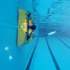 Dolphin 2x2 Pro Gyro con Spazzole Combinate - Potenza doppia per la tua piscina