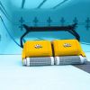 Dolphin 2x2 Pro Gyro con Spazzole Combinate - Potenza doppia per la tua piscina